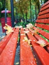 Relax in the park on red bench after rain with autumn leaves no people Royalty Free Stock Photo