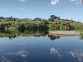 Relax in the Amazon jungle Royalty Free Stock Photo