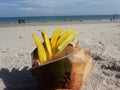 Fruit beach nature