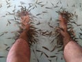 relax sitting in the pool while being treated by fish therapy