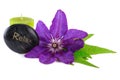 Relax Wellness Tropical Flower with Spa Stone and Candle