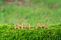 Relax word letters on green moss