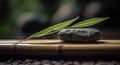 Relax zen stone on wooden terrace with bamboo leaves, japanese still life meditation treatment spa concept Royalty Free Stock Photo