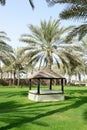 The relaxation hut on a green lawn and palm tree shadows Royalty Free Stock Photo