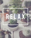 Relaxation Relax Chill Out Peace Resting Serenity Concept Royalty Free Stock Photo