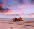 Seashells on wooden pier at sunset at beach dramatic cloudy sky nature landscape background Royalty Free Stock Photo