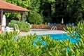 Relaxation zone with greenery and swimming pool Royalty Free Stock Photo