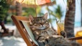 Relaxed cat lounging on beach chair with cocktail, summer vibes Royalty Free Stock Photo