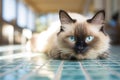 Relaxed Cats Under The Sun. Generative AI