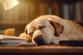 Relaxed dog dozes off, reaping the rewards of dedicated studying Royalty Free Stock Photo