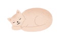 Relaxed fluffy beige cat sleeping vector flat illustration. Cute domestic animal lying enjoying relaxation isolated on Royalty Free Stock Photo