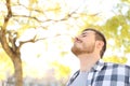 Relaxed man is breathing fresh air in a park Royalty Free Stock Photo