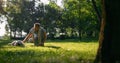 Relaxed man petting golden retriever. Playful dog chew leash lying on grass Royalty Free Stock Photo