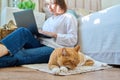 Relaxed sleeping red cat lying on floor, woman with laptop in out of focus Royalty Free Stock Photo