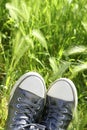 Relaxed silver shoes having rest meadow field Royalty Free Stock Photo