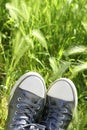 Relaxed silver shoes having rest meadow field