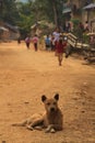 Relaxed street dog with school kids in a small village in Northern Laos Royalty Free Stock Photo