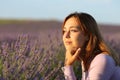 Relaxed woman contemplating a lavender field at sunset Royalty Free Stock Photo