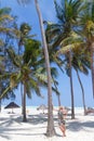 Perfect white sandy beach with palm trees, Paje, Zanzibar, Tanzania Royalty Free Stock Photo