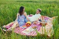 Relaxed young couple enjoying a summer picnic. Royalty Free Stock Photo