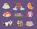 Relaxing animals. Cute sleeping characters funny poses exact vector set isolated