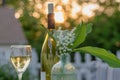 Relaxing in the backyard with a glass of white wine Royalty Free Stock Photo