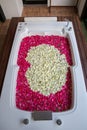 A relaxing bath with rose. bath tub with floating petals. Rose petals put in bathtub for romantic bathroom in honeymoon suit. Royalty Free Stock Photo