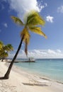 Relaxing on the beach