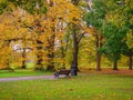 Relaxing bench in golden fall Cassiobury park Royalty Free Stock Photo