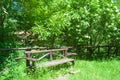 Relaxing bench into the green forest