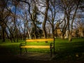 Relaxing bench in the park