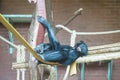 Relaxing bonobo Royalty Free Stock Photo