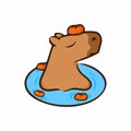 Relaxing capybara with tangerines. Vector illustration. Capybara in water. Image isolated on white background. Design