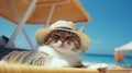 Relaxing Cat Sunbathing on Seaside Beach AI Generated Royalty Free Stock Photo
