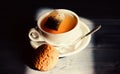 Relaxing chamomile tea. Cup mug hot tea and oat cookie. Quick snack concept. Mug filled tea close up. Herbal green or Royalty Free Stock Photo