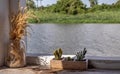 Relaxing corner beside the river with dried ear of rice in a glass jar and little cactus in wooden plant pot for decoration