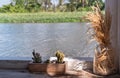 Relaxing corner beside the river with dried ear of rice in a glass jar and little cactus in wooden plant pot for decoration