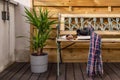 Relaxing corner on an urban terrace with plants, a wooden bench Royalty Free Stock Photo