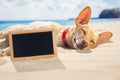 Relaxing dog on the beach Royalty Free Stock Photo