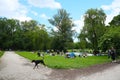 Relaxing in the Englisher Garten park in Munich, Germany Royalty Free Stock Photo