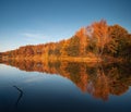 Relaxing European Autumn Landscape In Orange And Blue Colors At Sunset. A Mirror Image Of The Autumn Red Forest With A Quiet Surfa