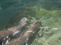 Relaxing feet in the water with fish