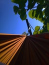 relaxing in the hammock, nude feet close up, spring day