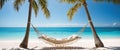 Relaxing Hammock Between Palm Trees on Tropical Beach, Banner with Copy Space