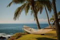 Relaxing Hammock Scene