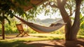 Relaxing hammock swaying gentle breeze