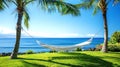 Relaxing Hammock Between Two Palm Trees with Ocean View: A hammock strung between two palm trees with a relaxing view of the ocean