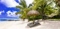 Relaxing holidays in tropical paradise in Mauritius island. scene with hammock and beach chairs under palm trees Royalty Free Stock Photo