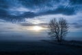 Foggy blue landscape Royalty Free Stock Photo