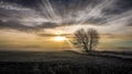 Foggy landscape and sun beams Royalty Free Stock Photo